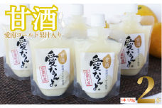 愛南ゴールド 入り 甘酒 ( 170g × 2 本 ) 5000円 お試し あまざけ あま酒 河内晩柑 米 パウチ 170g 持ち運び 片手 手軽 夏バテ 冷え 冷え性 栄養 栄養補給 発酵食品 健康 アミノ酸 ビタミン 美容 美容効果  おいしい 爽やか スッキリ すっきり プレゼント 贈答 贈答用 ダイエット 美肌 美髪 便秘 愛南 無添加 愛南町 愛なんよ