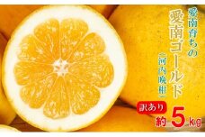 訳あり 愛南ゴールド（河内晩柑) 5kg 柑橘 みかん 傷 不揃い 河内晩柑 晩柑 和製 グレープフルーツ 果汁 規格外 常温 愛南町 青果市場 愛媛県 