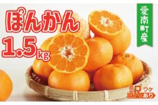お試し用 訳あり ポンカン 1.5kg 5000円 みかん mikan 蜜柑 ミカン ぽんかん 産地直送 国産 農家直送 糖度 期間限定 数量限定 特産品 ゼリー ジュース アイス 等に 人気 限定 甘い フルーツ 果物 柑橘 ビタミン 健康 美味しい おいしい ジューシー 小玉 含む 規格外 サイズ ミックス 傷み補償 500g ミッチーのおみかん畑 愛南町 愛媛県