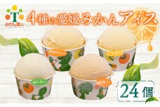 柑橘アイス カップ 24個 (4種) 【夢おれんじ 河内晩柑 愛媛みかん しらぬい 】 アイス ジェラート シャーベット ソルベ アイスクリーム ランキング 人気 贈答用 プレゼント 家庭用 みかん 柑橘 かんきつ まどんな 愛果28号 愛南ゴールド 不知火 デコポン ぽんかん 冷凍 冷凍みかん 冬 夏 みかん職人武田屋 愛媛県 愛南町