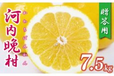 贈答用 河内晩柑 樹齢 30年以上 7.5kg （ サイズ ミックス ） 13000円 みかん mikan 蜜柑 ミカン かわちばんかん 愛南ゴールド あいなん ゴールド 文旦 派生 グレープフルーツ 和製 産地直送 国産 農家直送 期間限定 数量限定 特産品 ゼリー ジュース アイス 等に 人気 さわやか 甘い フルーツ 果物 柑橘 ギフト プレゼント 小玉 含む 果樹園みどり 愛南町 愛媛県
