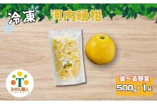 【選べる個数】冷凍 河内晩柑 500g×1袋 小分け 愛南ゴールド 和製グレープフルーツ おやつ 柑橘 かんきつ 冷凍 冷凍柑橘 冷凍みかん 夏 アイス スムージー シャーベット みかん職人武田屋 愛媛県 愛南町