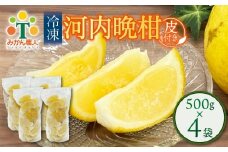 冷凍 河内晩柑  皮付き 500g×4袋 小分け 愛南ゴールド 和製グレープフルーツ おやつ 柑橘 かんきつ 冷凍 冷凍柑橘 冷凍みかん 夏 アイス サワー カクテル スムージー シャーベット みかん職人武田屋 愛媛県 愛南町