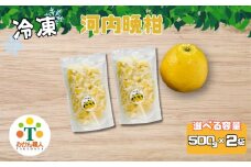 【選べる個数】冷凍 河内晩柑 500g×2袋 小分け 愛南ゴールド 和製グレープフルーツ おやつ 柑橘 かんきつ 冷凍 冷凍柑橘 冷凍みかん 夏 アイス スムージー シャーベット みかん職人武田屋 愛媛県 愛南町