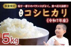 先行予約 新米 令和7年産 コシヒカリ 5kg 13000円 お米 白米 精米 米 こめ 産地直送 国産 農家直送 期間限定 数量限定 特産品 先行 事前 受付 令和7年度産 2025年産 もっちり 粘り 甘み おいしい おにぎり こしひかり 内祝い お祝い 贈答品 お返し プレゼント ギフト 土産 御礼 お礼 お取り寄せ えひめ南農業協同組合 愛南町 愛媛県