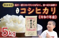 先行予約 新米 令和7年産 コシヒカリ 5kg 13000円 お米 白米 精米 米 こめ 産地直送 国産 農家直送 期間限定 数量限定 特産品 先行 事前 受付 令和7年度産 2025年産 もっちり 粘り 甘み おいしい おにぎり こしひかり 内祝い お祝い 贈答品 お返し プレゼント ギフト 土産 御礼 お礼 お取り寄せ えひめ南農業協同組合 愛南町 愛媛県