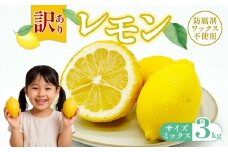 訳ありレモン 3kg ワックス 防腐剤不使用 サイズミックス カラーミックス グリーンレモン イエローレモン 柑橘 傷 不揃い レモン 檸檬 れもん  サイズミックス 規格外 常温 愛南町 青果市場 愛媛県 