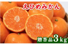 【先行受付】贈答品 愛媛みかん 3kg (傷み保証250g) 発送期間 2025年11月上旬以降 みかん 愛媛みかん 温州みかん 南柑20号 柑橘 蜜柑 かんきつ 冬 秋 旬 正月 愛媛 愛媛県 愛南町 お歳暮 プレゼント くだもの 果物 フルーツ スイーツ おやつ お菓子 和菓子 甘い 糖度 オレンジ 冷凍 みかん ジュース 清家ばんかんビレッジ