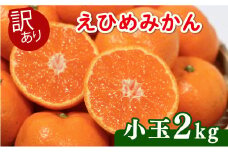 【先行受付】訳あり 愛媛みかん 小玉 2kg (傷み保証250g) 発送期間 2025年11月上旬以降 みかん 愛媛みかん 温州みかん 南柑20号 柑橘 蜜柑 かんきつ 冬 秋 旬 正月 愛媛 愛媛県 愛南町 お歳暮 プレゼント くだもの 果物 フルーツ スイーツ おやつ お菓子 和菓子 甘い 糖度 オレンジ 冷凍 みかん ジュース 清家ばんかんビレッジ
