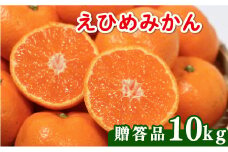 【先行受付】贈答品 愛媛みかん 10kg (傷み保証250g) 発送期間 2025年11月上旬以降 みかん 愛媛みかん 温州みかん 南柑20号 柑橘 蜜柑 かんきつ 冬 秋 旬 正月 愛媛 愛媛県 愛南町 お歳暮 プレゼント くだもの 果物 フルーツ スイーツ おやつ お菓子 和菓子 甘い 糖度 オレンジ 冷凍 みかん ジュース 清家ばんかんビレッジ