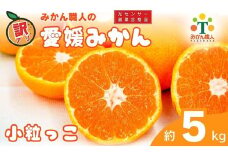 訳あり 愛媛みかん 小粒っ子 約5kg 人気 みかん 冬 秋 旬 糖度 糖度計 厳選 光センサー選果 柑橘 かんきつ 果物 くだもの 国産 こくさん フルーツ スイーツ デザート ご褒美 みかん 蜜柑 大小 サイズ ミックス 不揃い 傷 温州 温州みかん ビタミン 美味しい 農家直送 地場産品 こだわり みかん職人武田屋 愛媛県 愛南町