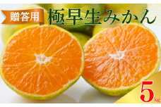 贈答用 極早生 みかん 5kg S ・ M ・ L いずれかを揃えてお届け 愛媛みかん 温州みかん 柑橘 愛媛 みかん 蜜柑 ミカン 産地直送 国産 農家直送 糖度 期間限定 数量限定 特産品 ゼリー ジュース アイス 人気 甘い フルーツ 果物 柑橘 ビタミン 健康 美味しい おいしい ジューシー  愛媛県 愛南町 清家ばんかんビレッジ