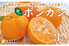 お試し用 訳あり ポンカン 3kg 7000円 みかん mikan 蜜柑 ミカン わけあり ぽんかん 産地直送 国産 農家直送 糖度 期間限定 数量限定 特産品 ゼリー ジュース アイス 冷凍 みかん 等に 人気 限定 甘い フルーツ 果物 柑橘 ビタミン 健康 美味しい おいしい ジューシー 小玉 含む 規格外 サイズ ミックス お試し 試供品 お試し品 少量 吉田農園 愛南町 愛媛県