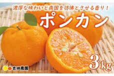 お試し用 ポンカン 3kg 9000円 みかん mikan 蜜柑 ミカン ぽんかん 産地直送 国産 農家直送 糖度 期間限定 数量限定 特産品 ゼリー ジュース アイス 冷凍 みかん 等に 人気 限定 甘い フルーツ 果物 柑橘 ビタミン 健康 美味しい おいしい ジューシー 小玉 含む お試し 試供品 お試し品 少量 吉田農園 愛南町 愛媛県