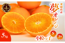 【訳あり品】みかん職人の夢オレンジ 小粒っ子 5kg おれんじ みかん 柑橘 果物 フルーツ 愛媛 みかん職人武田屋 蜜柑 愛果28号 愛媛果試第28号 まどんな 小玉 蜜柑 糖度 センサー 計測 規準 甘い 甘さ みかん かんきつ らんきんぐ 柑橘 冬 旬 食べごろ 農家 農家直送 農園 人気 みかん職人 武田屋 産直 みかん職人武田屋 愛媛県
