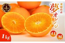 【訳あり】みかん職人の夢オレンジ 1kg 柑橘 果物 フルーツ 愛媛 みかん職人武田屋 蜜柑 愛果28号 愛媛果試第28号 まどんな 大小ミックスサイズ 糖度 センサー 計測 規準 甘い 甘さ みかん かんきつ 柑橘 冬 旬 食べごろ 農家 農家直送 農園 人気 みかん職人 武田屋 産直 みかん職人武田屋 愛媛県 愛南町
