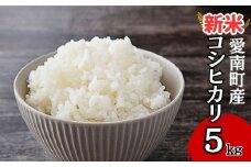 【 令和7年産 】 新米 令和7年産 コシヒカリ 5kg 米 お米 愛南町産 白米 精米 こしひかり 人気 低温 貯蔵庫 産地直送 国産 農家直送 期間限定 数量限定 特産品 こめ コメ 令和7年度産 2025年産 国産米 おいしい おにぎり 贈答品 プレゼント 愛南町青果市場 青果市場 愛南町 愛媛県