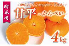 贈答用 甘平 4kg 15000円 みかん mikan 蜜柑 ミカン かんぺい 高級 人気 ブランド プレミアム 産地直送 国産 農家直送 期間限定 数量限定 特産品 お取り寄せ ギフト プレゼント 三大高級柑橘 人気 甘い フルーツ 果物 柑橘 おいしい ジューシー 新鮮 果実 糖度 ぎっしり ビタミン 健康 お祝い 贈答品 お返し 御礼 お礼 前田ファーム 愛南町 愛媛県