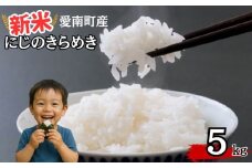 【 令和7年産 】 新米 令和7年産 にじのきらめき 5kg 米 お米 愛南町産 白米 精米 人気 低温 貯蔵庫 産地直送 国産 農家直送 期間限定 数量限定 特産品 こめ コメ 令和7年度産 2025年産 国産米 おいしい おにぎり 贈答品 プレゼント 愛南町青果市場 青果市場 愛南町 愛媛県