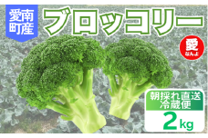 ブロッコリー 2kg 朝採れ 当日 発送 新鮮 採れたて 産地直送 農家直送  国産 野菜 シャキシャキ 食感 茎 まで 甘い 栄養満点 ご家庭用 サラダ スープ お弁当 彩り野菜 旬 の 味覚 離乳食 食事管理中 に おすすめ 緑黄色野菜 冷凍 保存 可能 ストック 便利 人気 期間限定 旬 の 味覚 食卓 へ 愛媛県 愛南町 愛なんよ