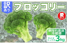 訳あり ブロッコリー 3kg サイズミックス 朝採れ 当日 発送 新鮮 採れたて 産地直送 農家直送  国産 野菜 シャキシャキ 食感 茎 まで 甘い 栄養満点 ご家庭用 サラダ スープ お弁当 彩り野菜 旬 の 味覚 離乳食 食事管理中 に おすすめ 緑黄色野菜 冷凍 保存 可能 ストック 便利 人気 期間限定 旬 の 味覚 食卓 へ 愛媛県 愛南町 愛なんよ