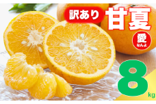 訳あり 甘夏 8㎏ サイズ ミックス 8000円 ご家庭用 送料無料 産地直送 農家直送 減農薬 栽培 フルーツ 果物 柑橘 あまなつ 旬の味覚 爽やか 香り 甘酸っぱい ほろ苦い 大人 の 味 マーマレード ジャム ピール ゼリー ジュース サラダ 人気 おすすめ 期間限定 愛媛県 愛南町 愛なんよ