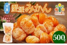 冷凍愛媛みかん 500g×1袋 冷凍みかん みかん ミカン 愛媛みかん 蜜柑 柑橘 かんきつ 冷凍ミカン 冷凍柑橘 アイス スムージー シャーベット みかん職人武田屋 愛媛県 愛南町