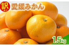 訳あり愛媛みかん 1.5kg 温州みかん みかん 先行予約 柑橘 傷み補償 不揃い みかん ミカン 蜜柑  サイズミックス 規格外   フルーツ 果物 フルーツ果物 先行受付 常温 愛南町 青果市場 愛媛県 