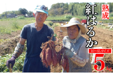 熟成 紅はるか 5kg M から 2L サイズ さつまいも サツマイモ いも 芋 焼き芋 やきいも 蒸し芋 冷やし焼き芋 蜜芋 スイートポテト さつまいもスープ 芋ご飯 さつまいもチップス 天ぷら おやつ デザート スイーツ 料理 材料 国産 長期熟成 低温熟成 高糖度 甘い 甘み しっとり なめらか 栄養豊富 食物繊維 季節限定 秋冬限定 冬の味覚 愛媛県 愛南町 愛南町産 愛なんよ