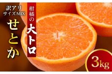 【先行予約受付】訳あり せとか 3kg サイズ MIX フルーツアイランド・マルエム直販の愛南産 せとか 約3kg 柑橘 フルーツ 果物 蜜柑 みかん くだもの mikan かんきつ オレンジ せとか 高級柑橘 スイーツ デザート 果実 果汁 甘い ジューシー おいしい 特産品 国産 農園 直送 産地 直送 愛媛県 愛南町