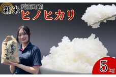 【 令和7年産 】 新米 令和7年産 ヒノヒカリ 5kg 米 お米 愛南町産 白米 精米 ヒノヒカリ 人気 低温 貯蔵庫 産地直送 国産 農家直送 期間限定 数量限定 特産品 こめ コメ 令和7年度産 2025年産 国産米 おいしい おにぎり 贈答品 プレゼント 愛南町青果市場 青果市場 愛南町 愛媛県