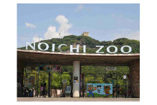 【A06020】高知県立のいち動物公園ペア入園券＆オリジナルグッズセット