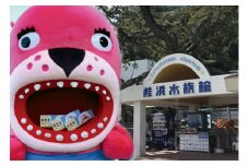 【B06037】桂浜水族館　入館券