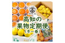 【E06014】高知の果物定期便(冬～春)
