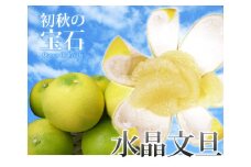 【C06034】温室　水晶文旦　3kg・5〜7玉［期間限定品］