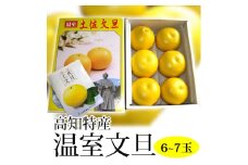 【C06037】温室文旦 3kg・6〜7玉［期間限定品］