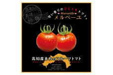 【B06066】高知産フルーツトマト「メルベーユ」　約1kg［期間限定品］