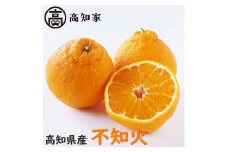 【B06070】高知県産　不知火(しらぬい)　約3kg・8〜14玉［期間限定品］