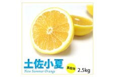 【C06040】高知産　ご家庭用「土佐小夏」約2.5kg（期間限定品）(土佐市)