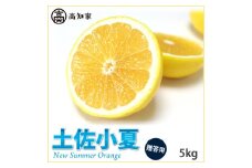 【E006016】高知産　ご贈答用「土佐小夏」約5kg（期間限定品）(土佐市)