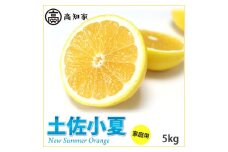 【D06021】高知産　ご家庭用「土佐小夏」約5kg（期間限定品）(土佐市)