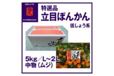 特選品立目ぽんかん（低しょう系）約5kg | L～２L 中物（ムジ）〈2025年1月～発送〉【グレイジア株式会社】 [ATAC331]