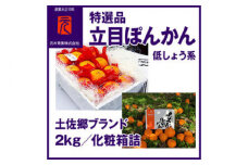 特選品土佐郷ブランド立目ぽんかん（低しょう系約12玉）約2kg【グレイジア株式会社】 [ATAC334]