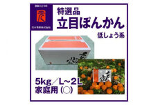 特選品立目ぽんかん（低しょう系）約5kg | L～２L 家庭用〈2025年1月～発送〉【グレイジア株式会社】 [ATAC335]