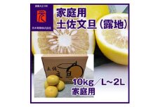 厳選　上級品 土佐文旦（露地）／約10kg／L～２L 家庭用〈2025年2月～発送〉【グレイジア株式会社】 [ATAC326]