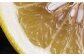 厳選　上級品 土佐文旦（露地）／約10kg／L～２L 家庭用〈2025年2月～発送〉 [ATAC326]