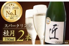 土佐酒造 桂月 スパークリング酒 匠 (ジョン) 750ml 2本 【近藤酒店】 [ATAB074]