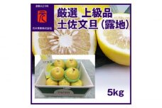 厳選上級品 土佐文旦（露地）／約5kg／箱 〈2025年2月～発送〉【グレイジア株式会社】 [ATAC328]