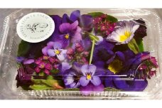 食べるお花・エディブルフラワー/ブルーパープル系約20輪【グレイジア株式会社】 [ATAC272]