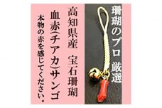 小さい血赤珊瑚根付 本物の宝石 (サンゴ) 高知県産血赤珊瑚の赤を見てみたいという方に！ 【株式会社ケンセン35】 [ATAR032]